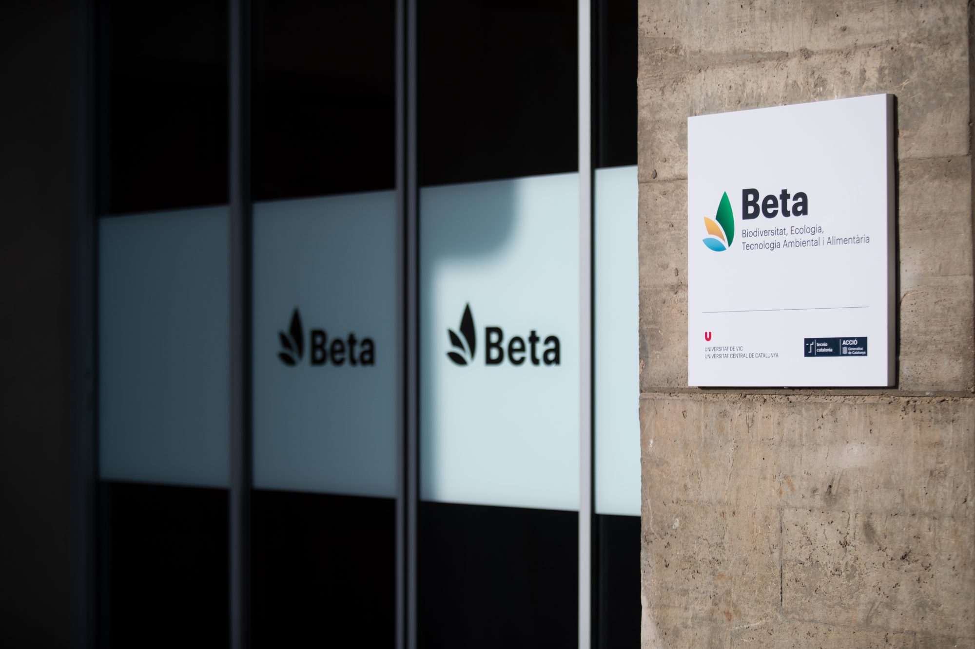 ct-beta