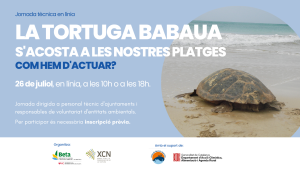 Tortuga_caretta_formacio_flyer-1